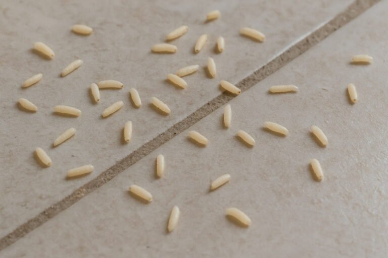 Tiny White Worms in House on Floor