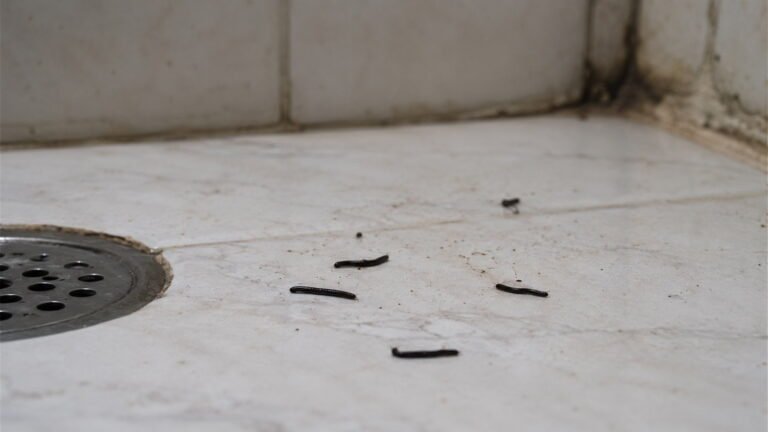 Black Worms in the Bathroom